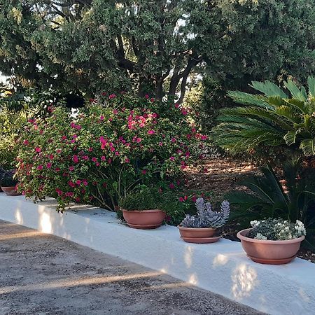 مونوبولي B&B Bell'Aria المظهر الخارجي الصورة