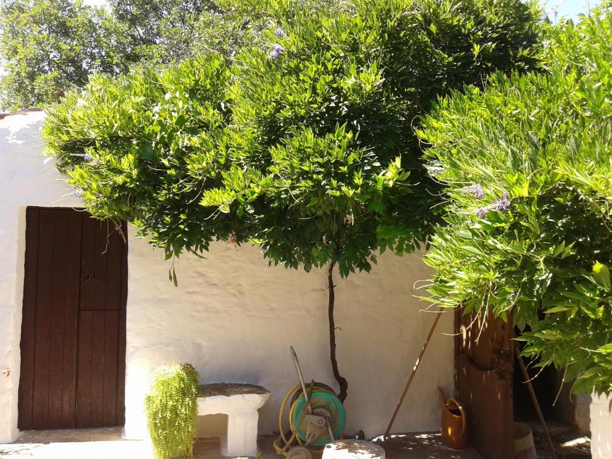 مونوبولي B&B Bell'Aria المظهر الخارجي الصورة
