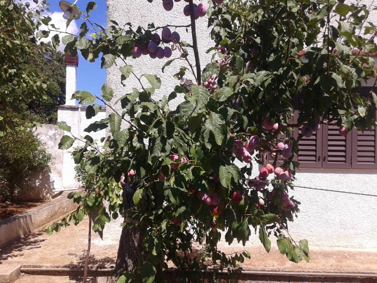 مونوبولي B&B Bell'Aria المظهر الخارجي الصورة